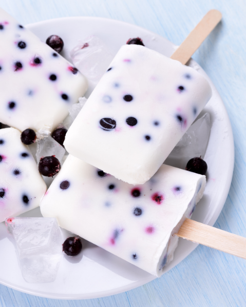 blueberry cheesecake protein popsicle
