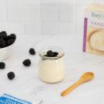 Blackberry Vanilla Pudding – 02
