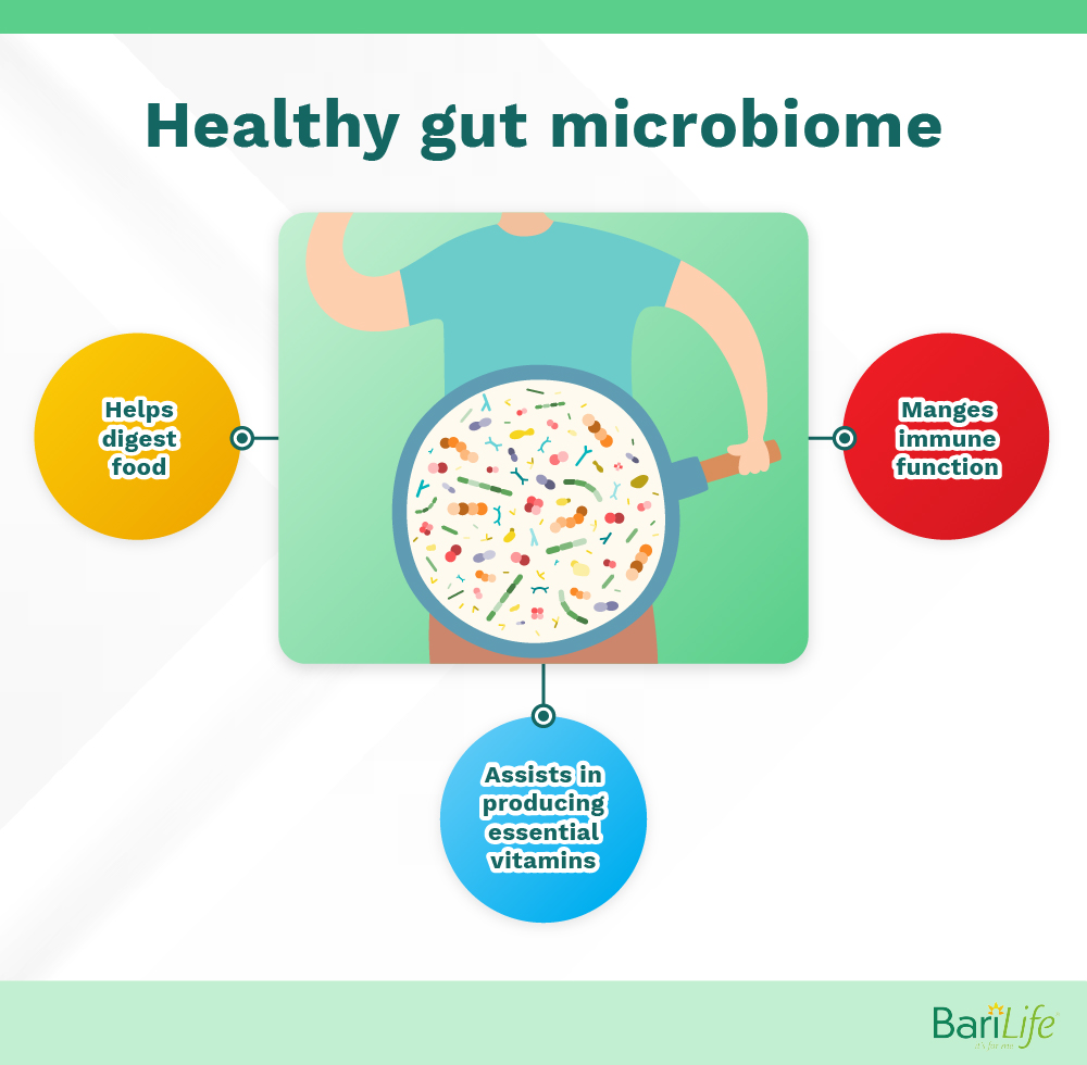 Healthy gut microbiome