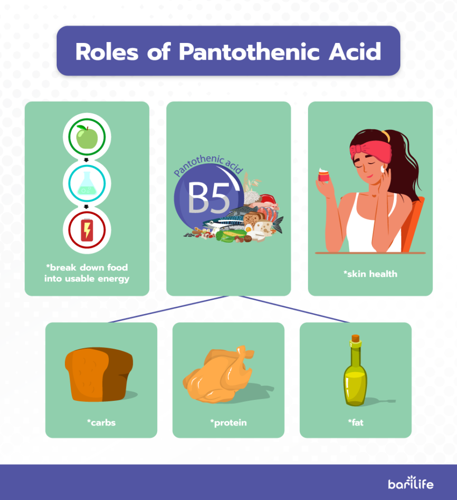 Roles of pantothenic acid