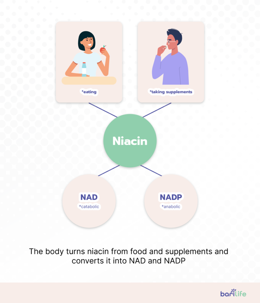 Everything You Need To Know About Niacin After Bariatric Surgery 1706