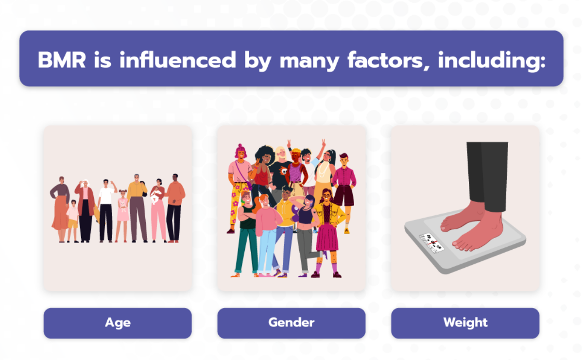 BMR Calculator - Bari Life