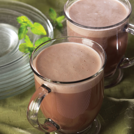 Mint Hot Chocolate Protein Packets